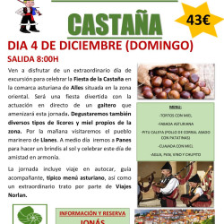Feria de la castaña 