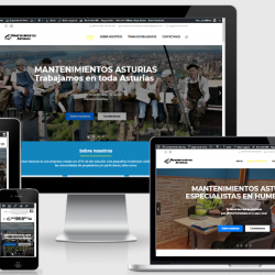 WEB PROFESIONAL (Paginas web para PYMES y Autónomos)