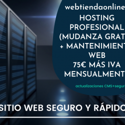 Hosting+mantenimiento web