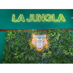 Cafe La Jungla Cafe La Jungla