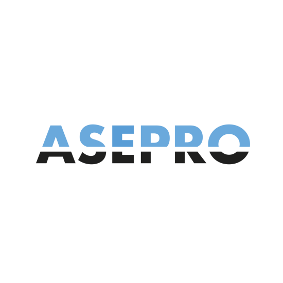 ASEPRO SEGURIDAD